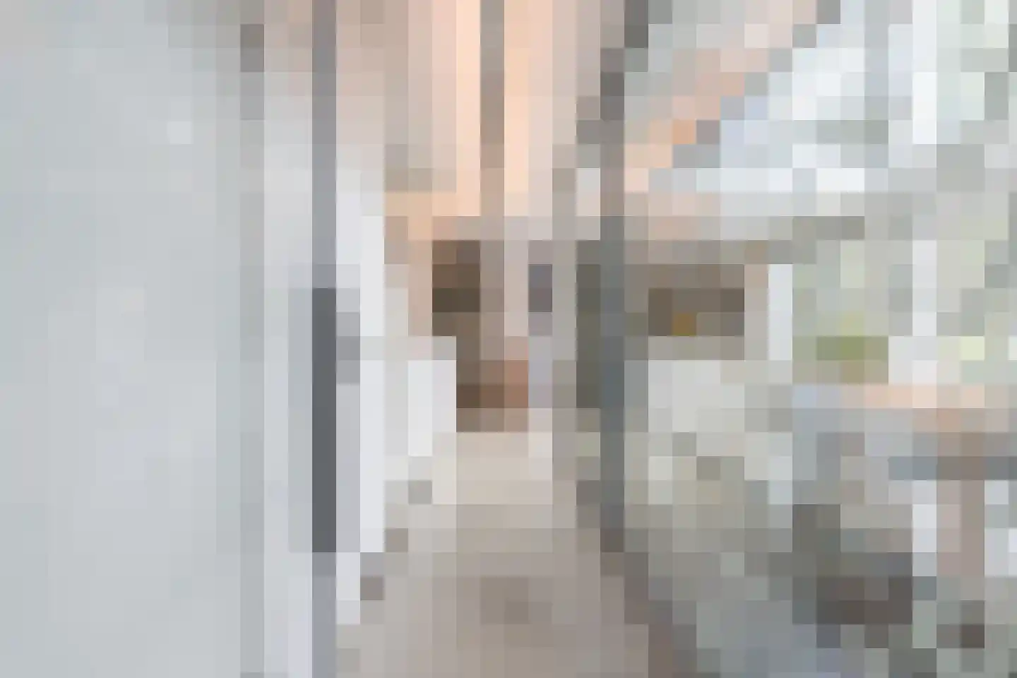 Het Bolwerk 100 Breda thumbnail 26