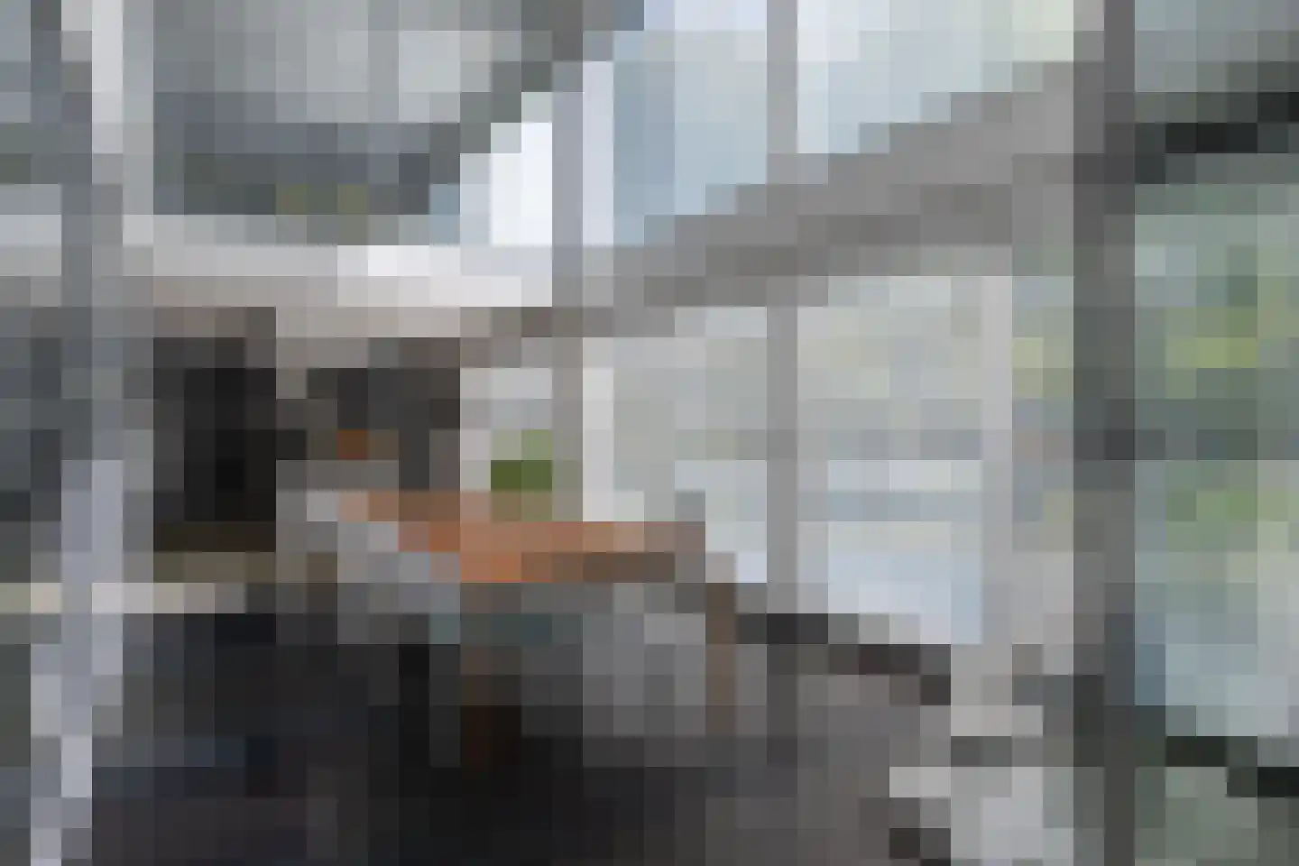 Het Bolwerk 100 Breda thumbnail 29