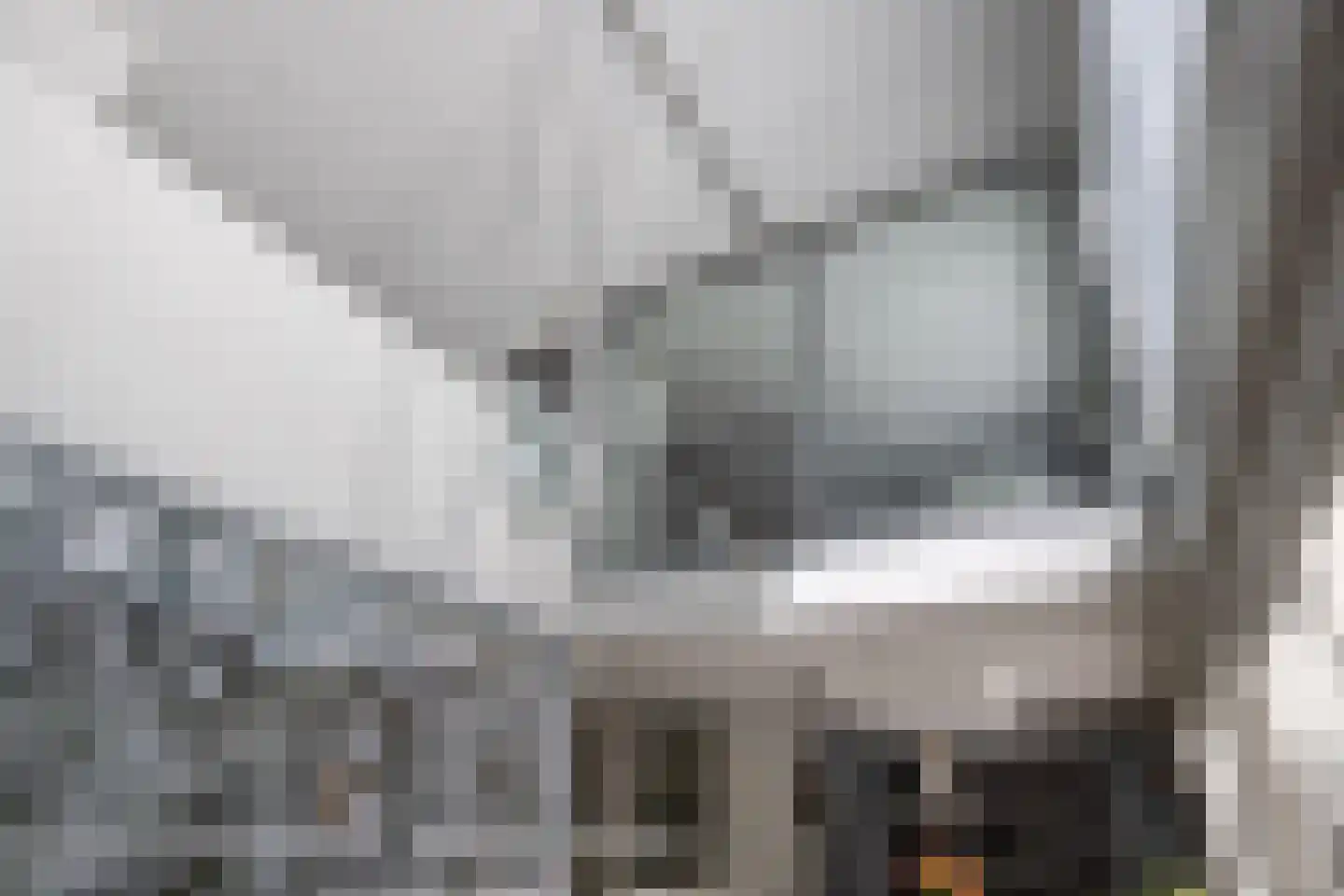 Het Bolwerk 100 Breda thumbnail 33