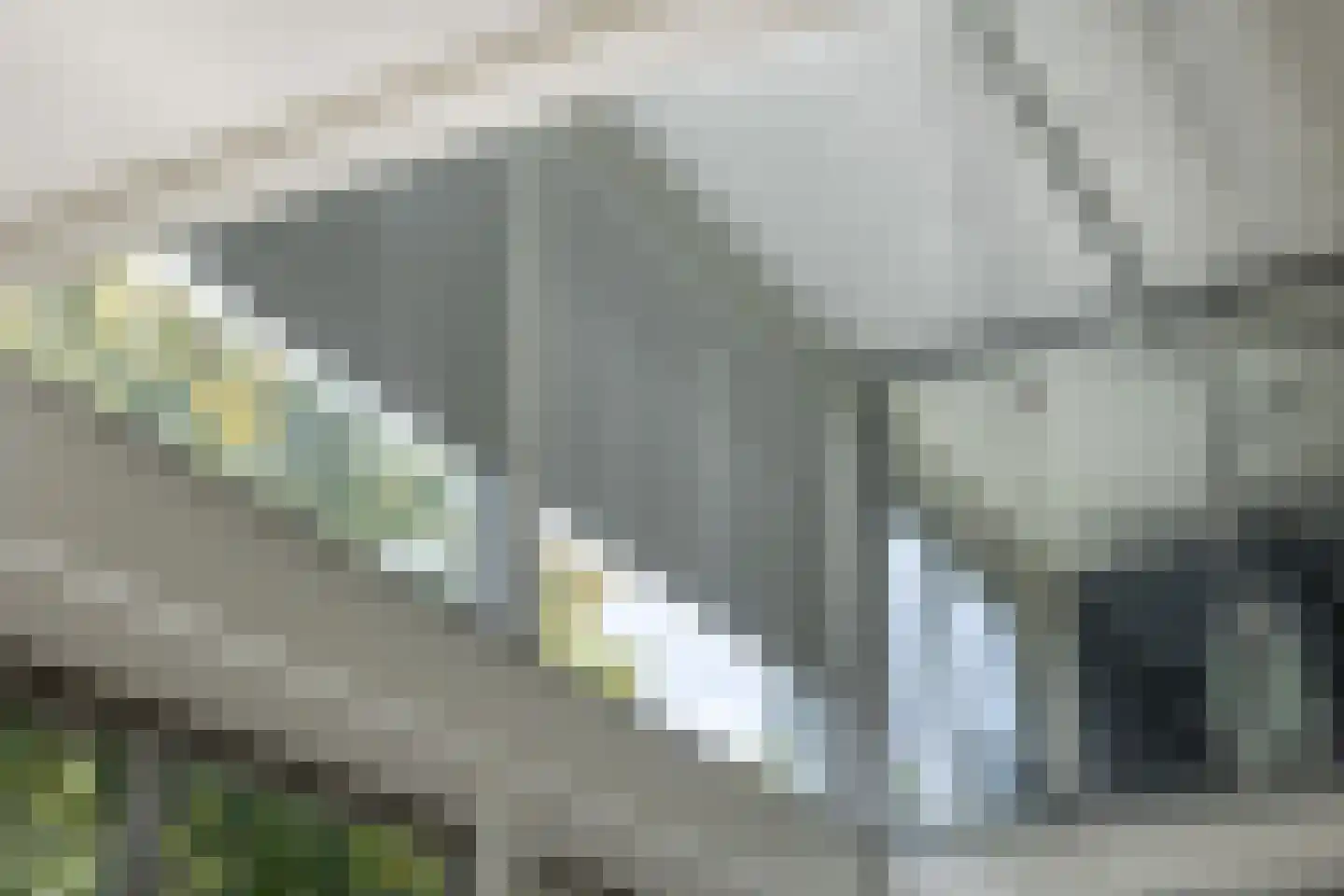 Het Bolwerk 100 Breda thumbnail 34