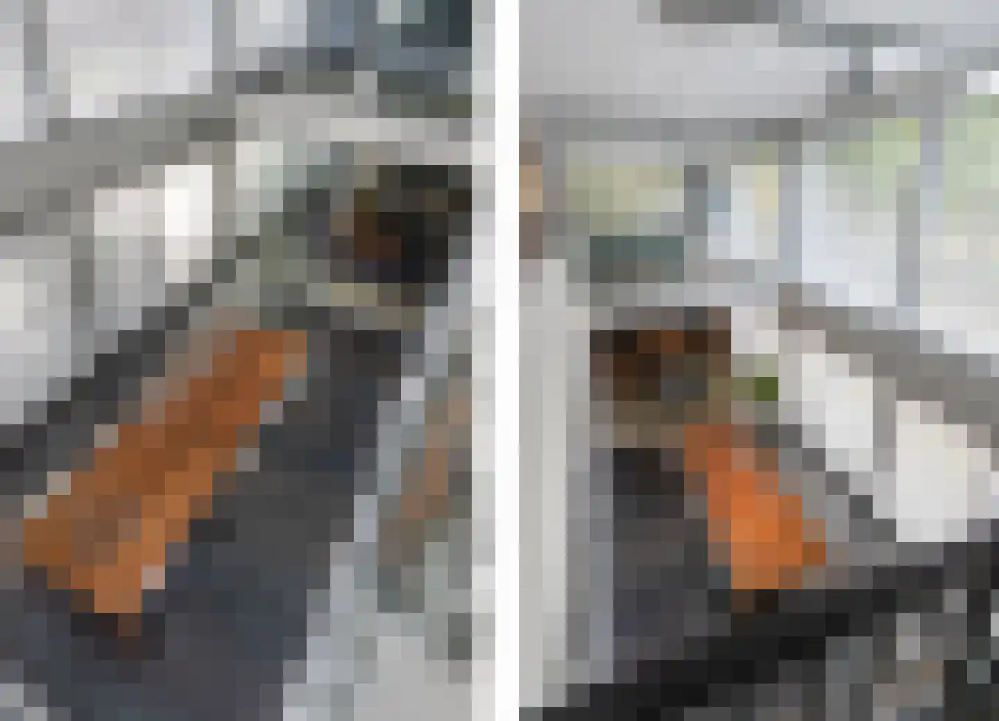 Het Bolwerk 100 Breda thumbnail 35