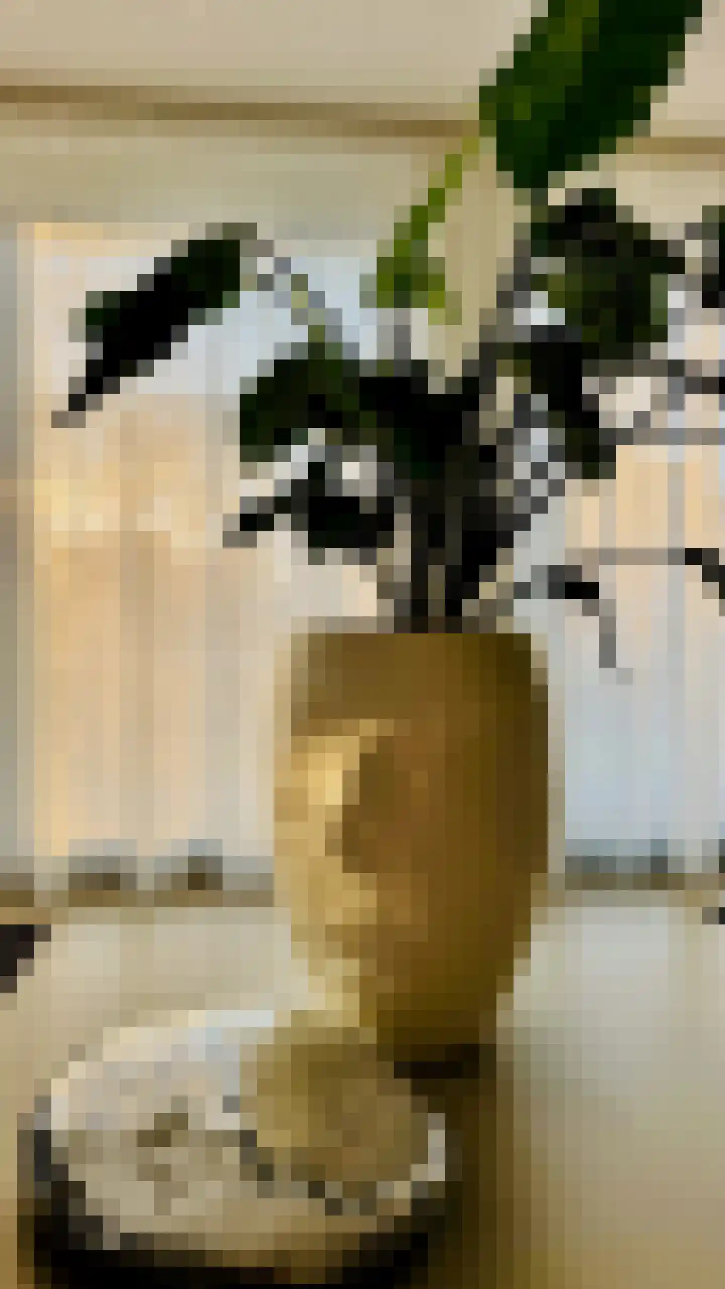 Het Bolwerk 100 Breda thumbnail 38