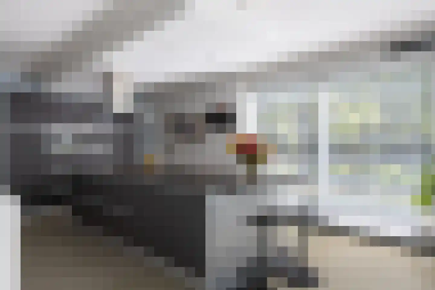Het Bolwerk 100 Breda thumbnail 4