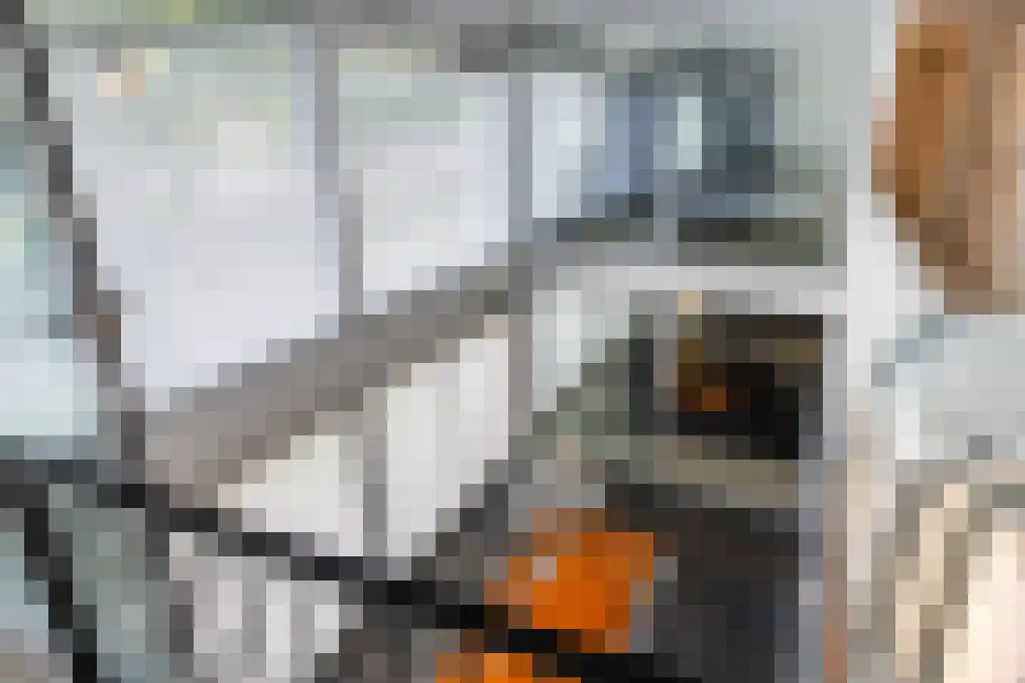 Het Bolwerk 100 Breda thumbnail 48