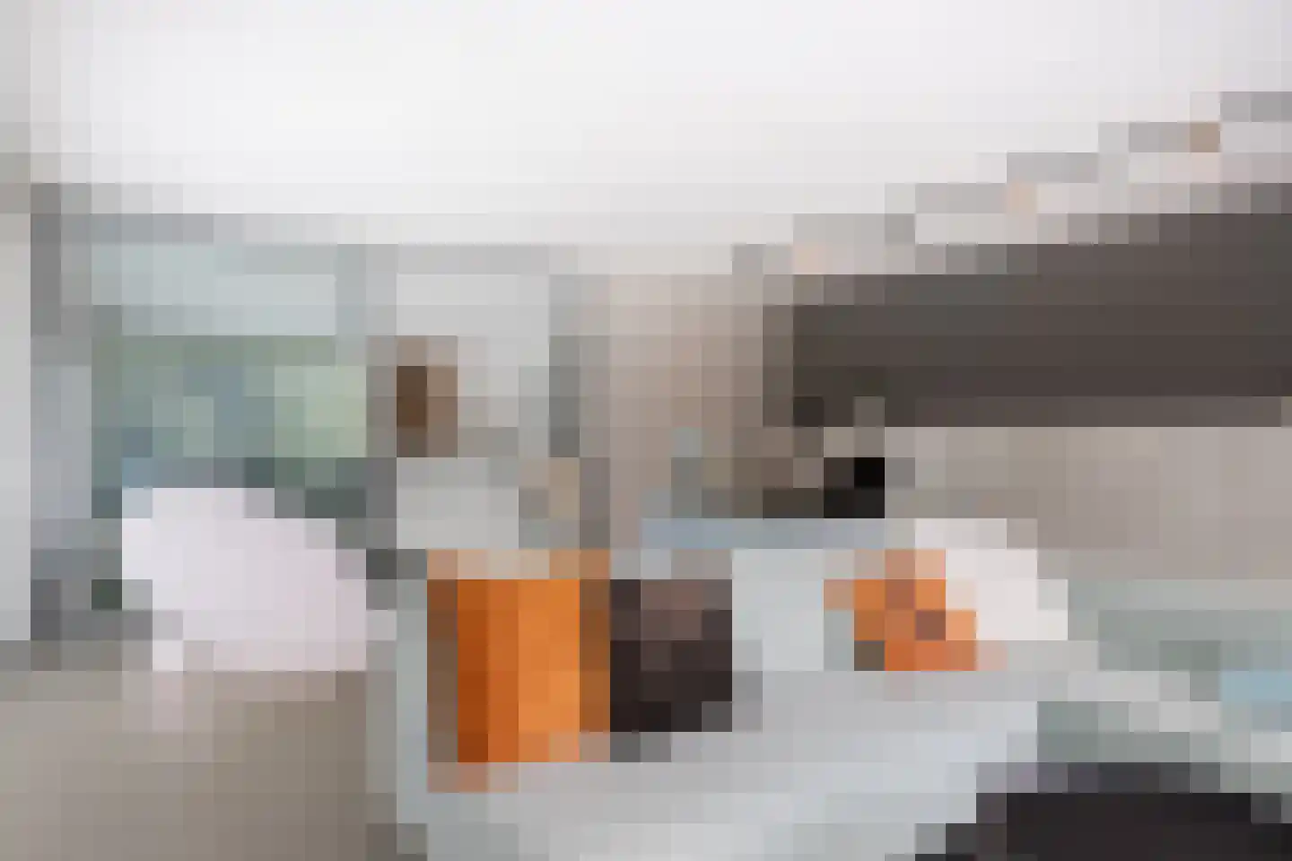 Het Bolwerk 100 Breda thumbnail 52