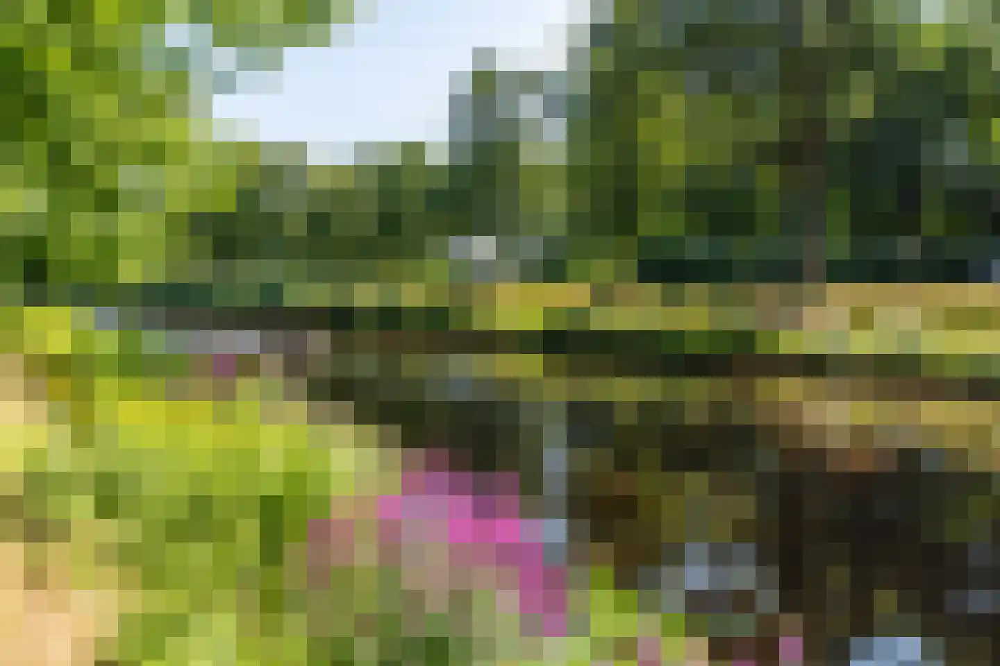 Het Bolwerk 100 Breda thumbnail 6