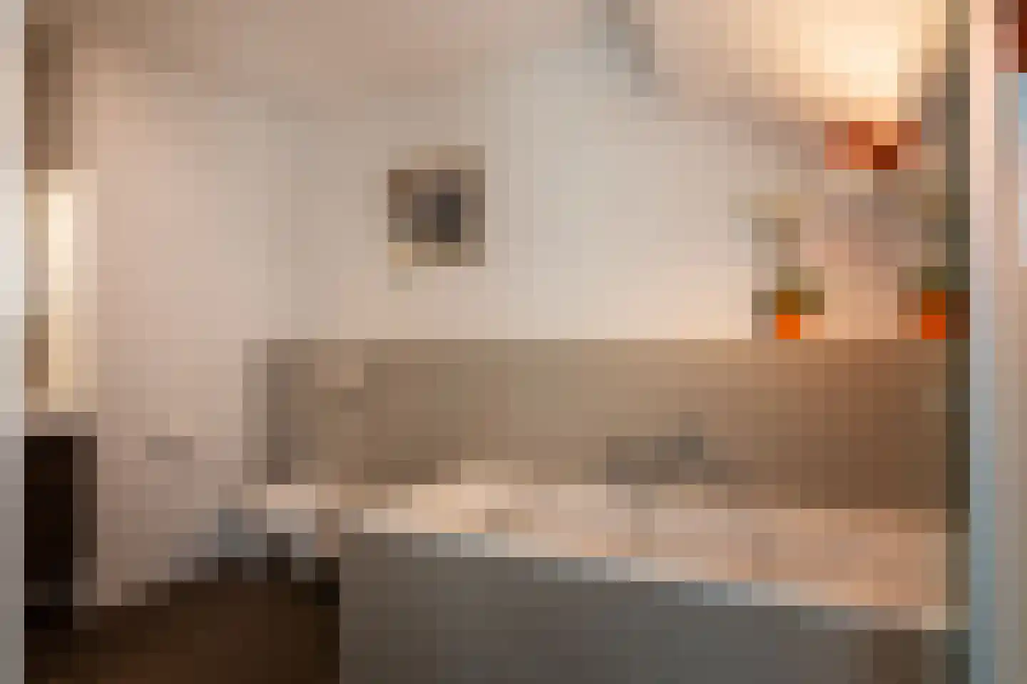 Het Bolwerk 100 Breda thumbnail 61