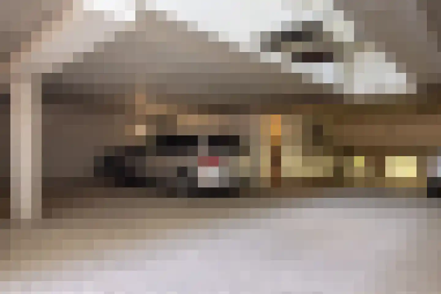 Het Bolwerk 100 Breda thumbnail 75