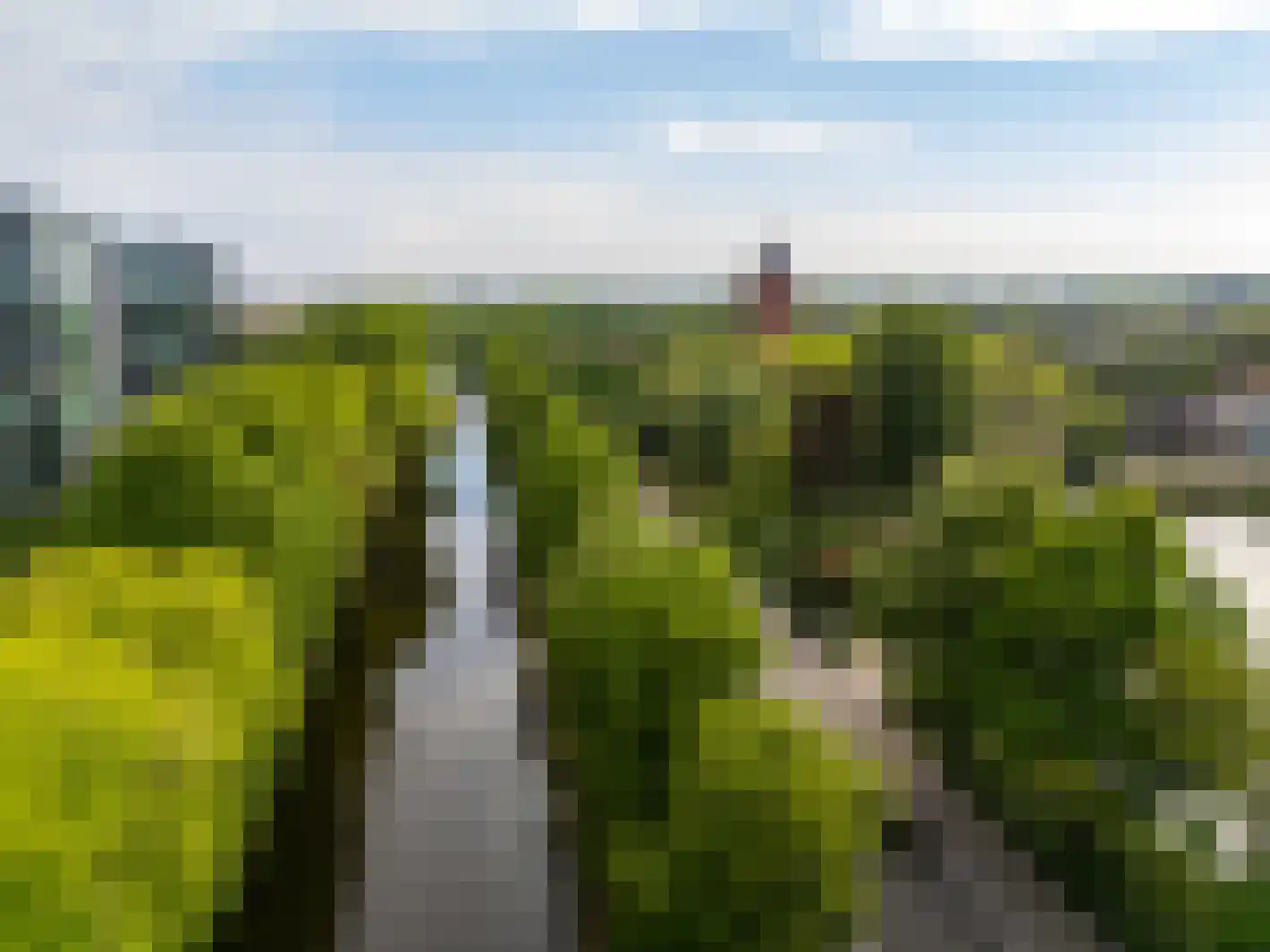 Het Bolwerk 100 Breda thumbnail 85