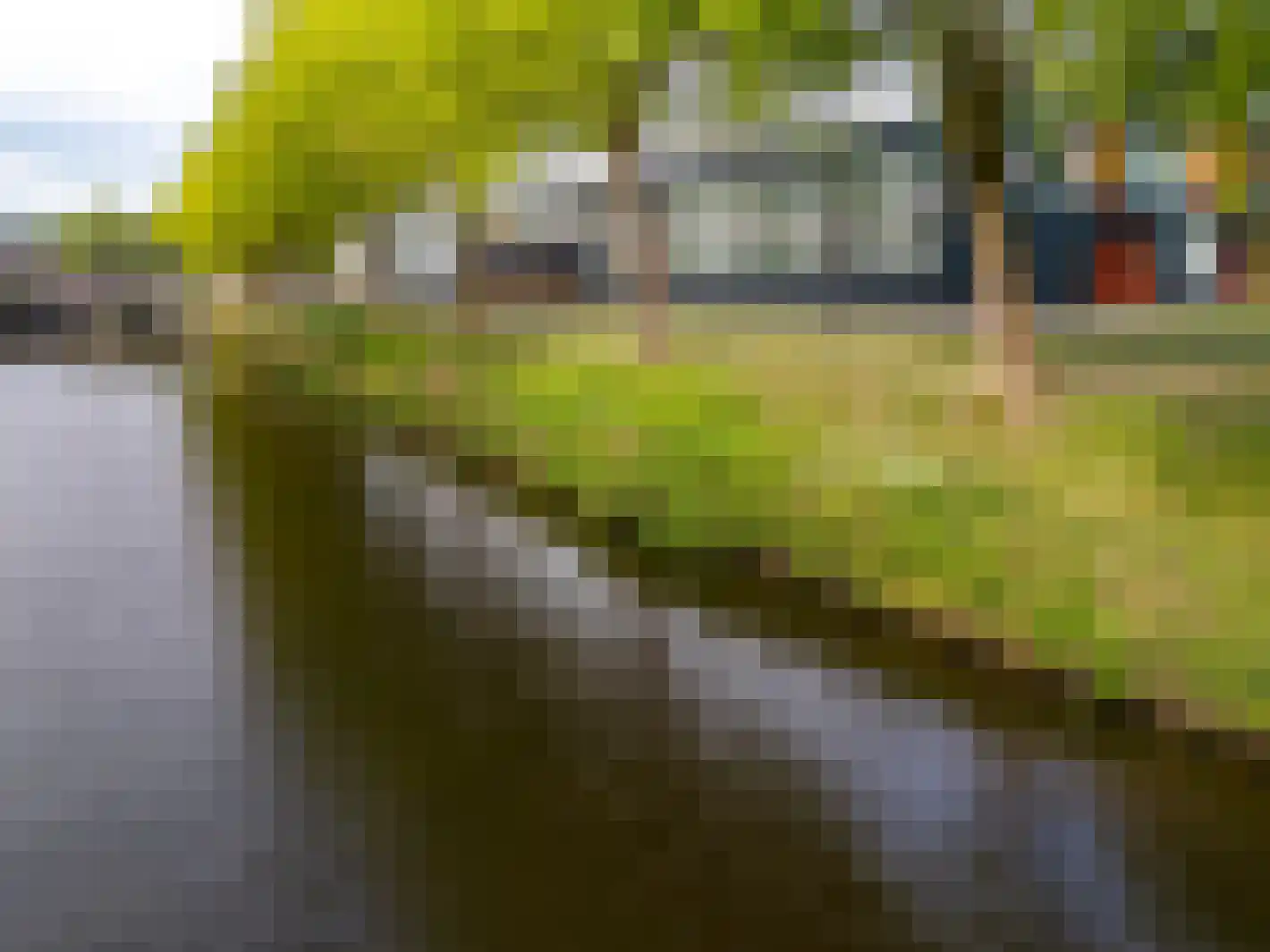 Het Bolwerk 100 Breda thumbnail 86