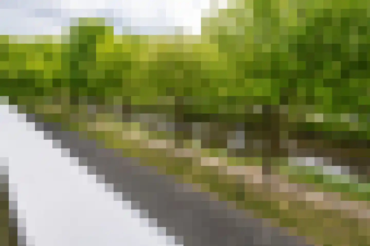 Het Bolwerk 100 Breda thumbnail 88