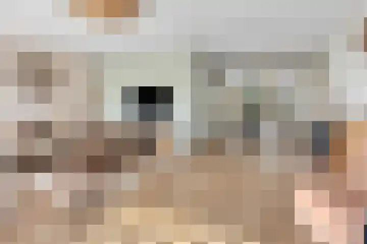 Het Bolwerk 22 Steenwijk thumbnail 11