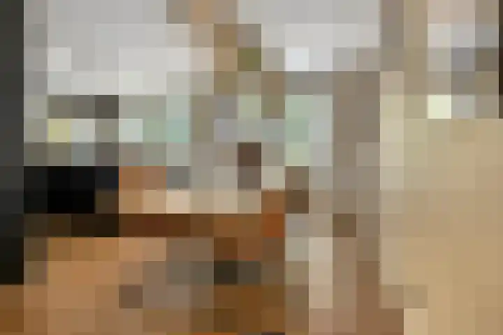 Het Bolwerk 22 Steenwijk thumbnail 12