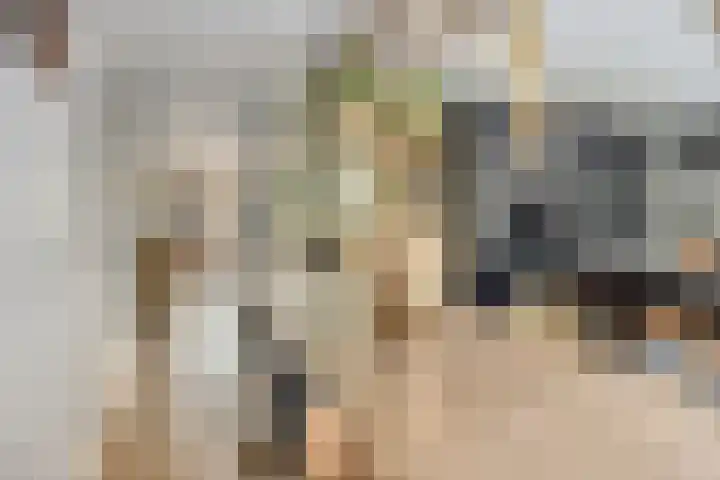 Het Bolwerk 22 Steenwijk thumbnail 13