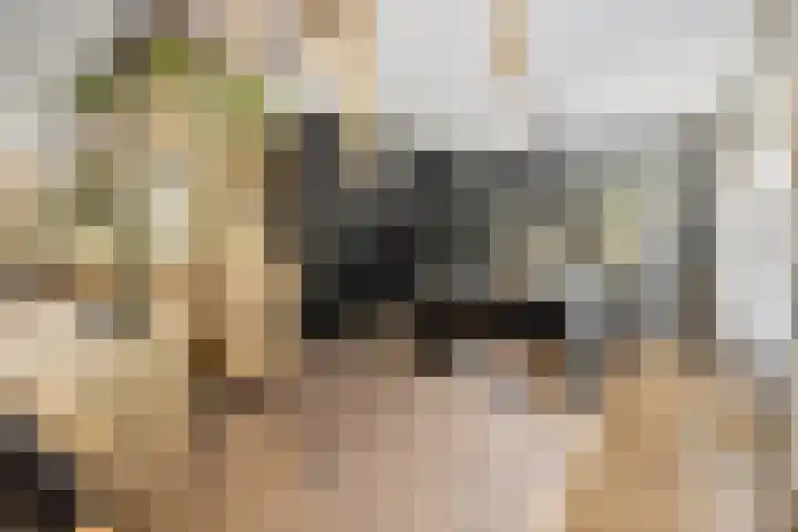 Het Bolwerk 22 Steenwijk thumbnail 15
