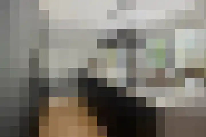 Het Bolwerk 22 Steenwijk thumbnail 16