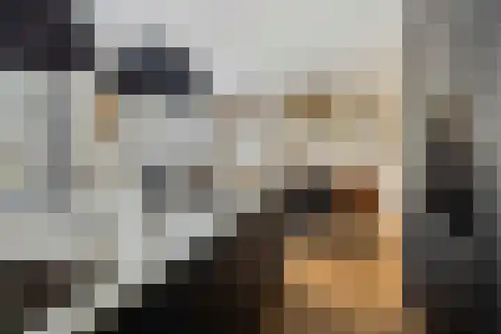 Het Bolwerk 22 Steenwijk thumbnail 17