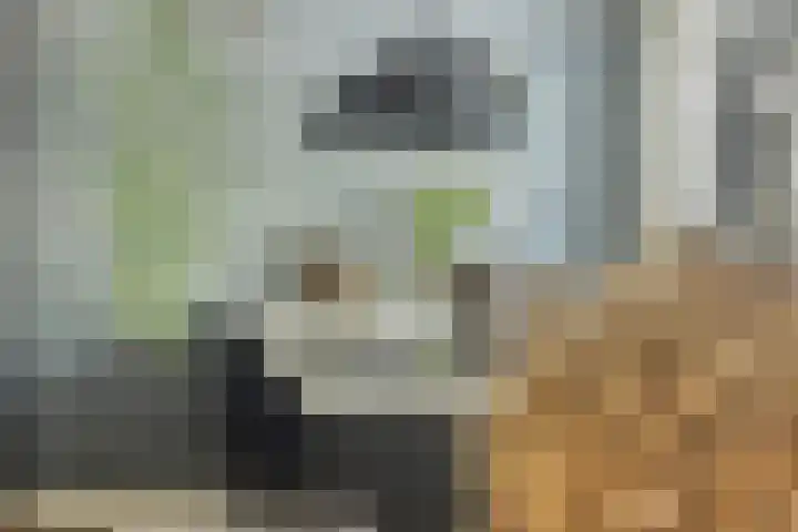 Het Bolwerk 22 Steenwijk thumbnail 18