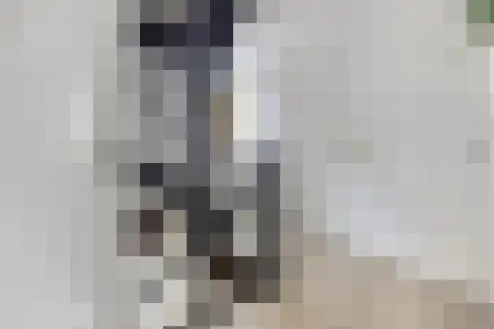 Het Bolwerk 22 Steenwijk thumbnail 21
