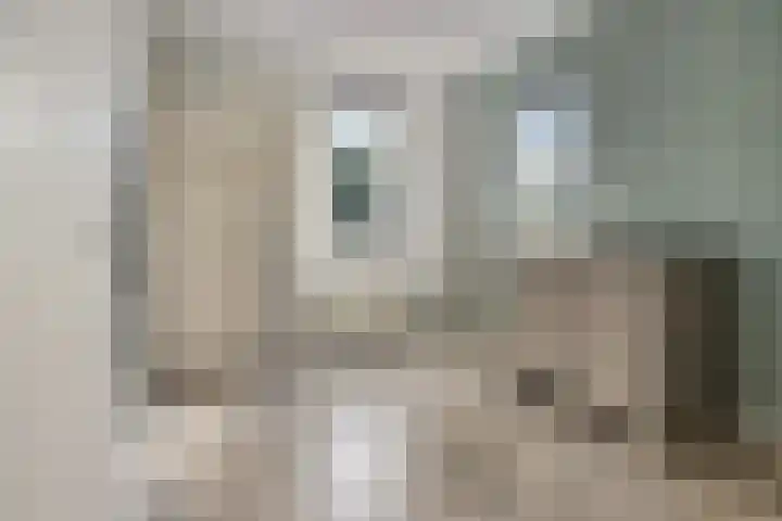 Het Bolwerk 22 Steenwijk thumbnail 28