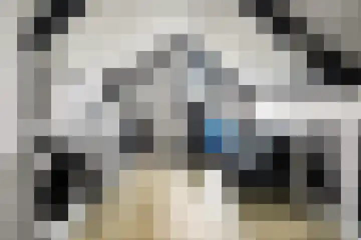 Het Bolwerk 22 Steenwijk thumbnail 29