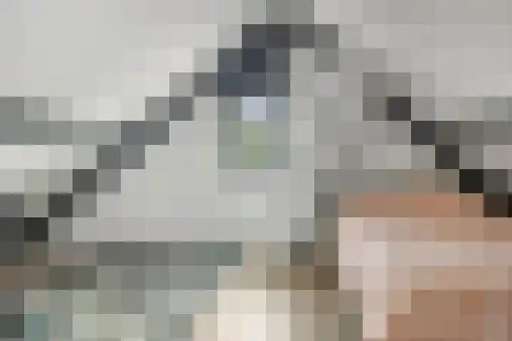 Het Bolwerk 22 Steenwijk thumbnail 31