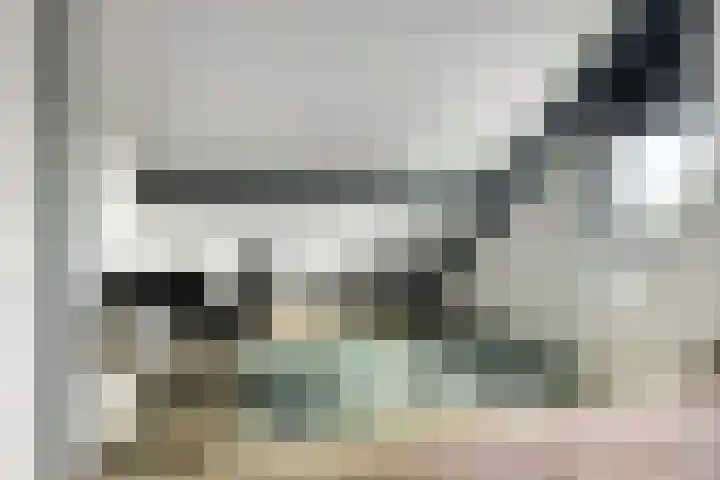 Het Bolwerk 22 Steenwijk thumbnail 32