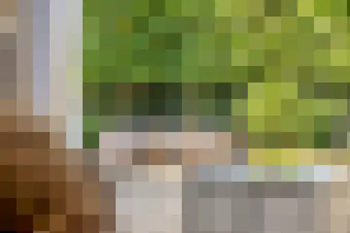Het Bolwerk 22 Steenwijk thumbnail 34