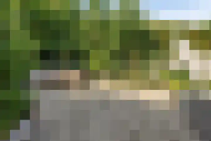 Het Bolwerk 22 Steenwijk thumbnail 36