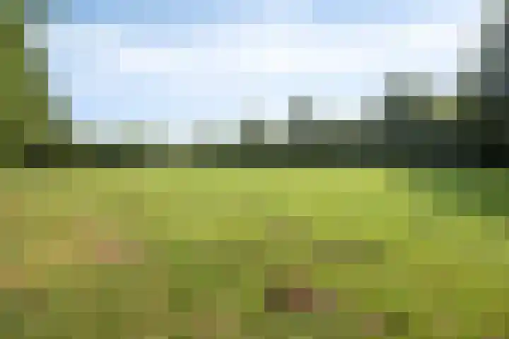 Het Bolwerk 22 Steenwijk thumbnail 39