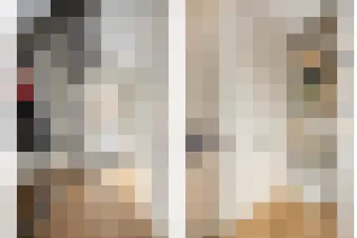 Het Bolwerk 22 Steenwijk thumbnail 5