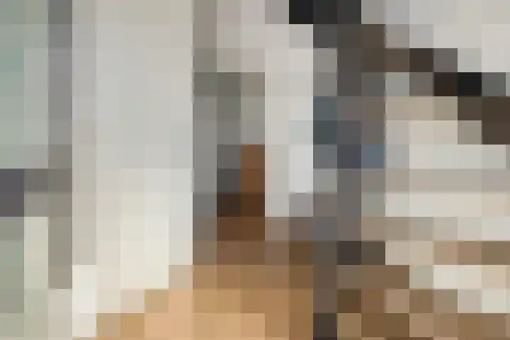 Het Bolwerk 22 Steenwijk thumbnail 6