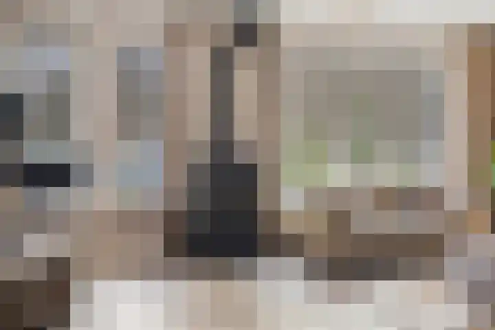Het Bolwerk 22 Steenwijk thumbnail 9