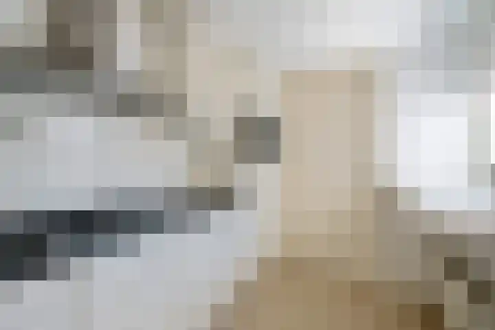 Het Bolwerk 26 Steenwijk thumbnail 12