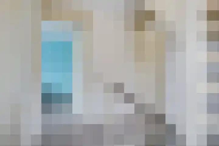 Het Bolwerk 26 Steenwijk thumbnail 15