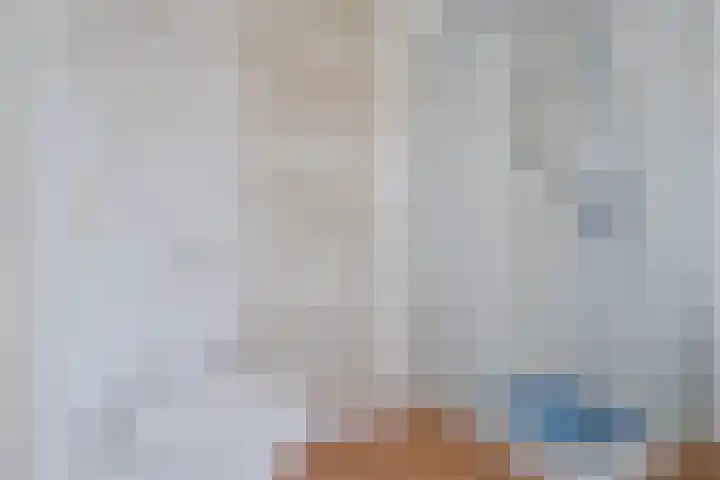 Het Bolwerk 26 Steenwijk thumbnail 20
