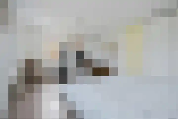 Het Bolwerk 26 Steenwijk thumbnail 24