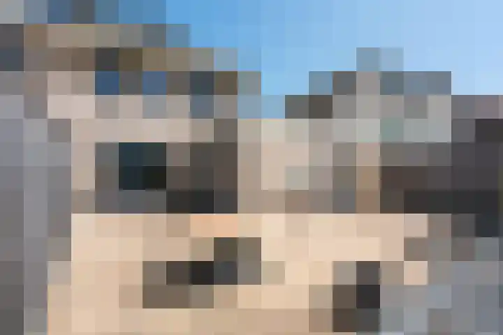 Het Bolwerk 26 Steenwijk thumbnail 33