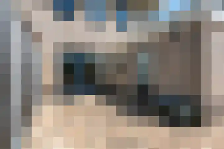 Het Bolwerk 26 Steenwijk thumbnail 34