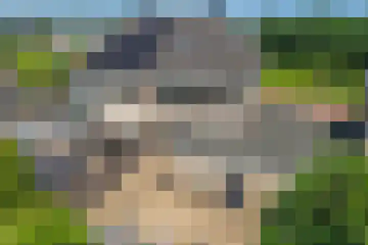 Het Bolwerk 26 Steenwijk thumbnail 38