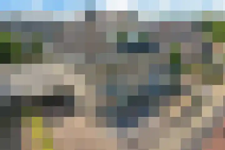 Het Bolwerk 26 Steenwijk thumbnail 39