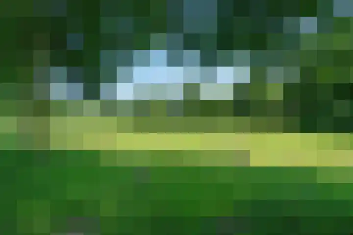 Het Bolwerk 26 Steenwijk thumbnail 43