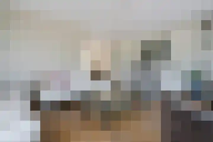 Het Bolwerk 26 Steenwijk thumbnail 5