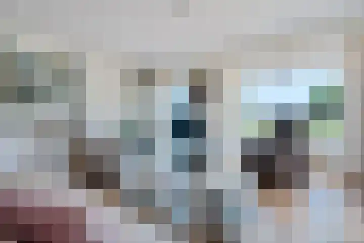 Het Bolwerk 26 Steenwijk thumbnail 6