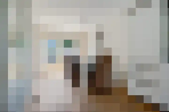 Het Bolwerk 26 Steenwijk thumbnail 7