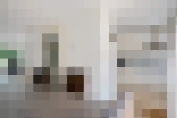 Het Bolwerk 26 Steenwijk thumbnail 8
