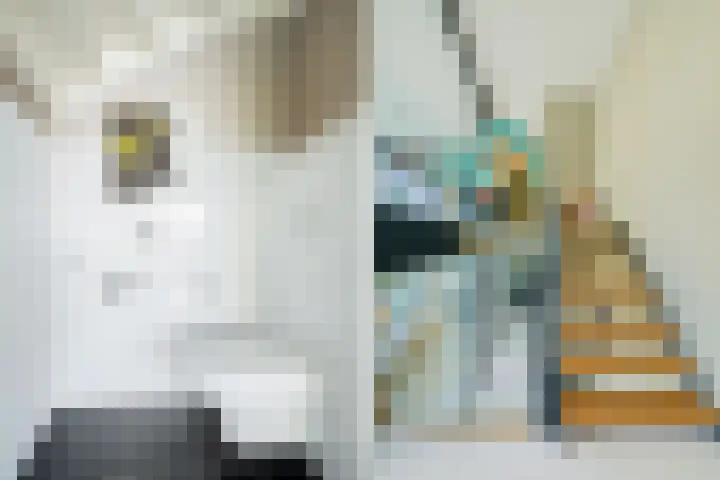 Het Bolwerk 4 Breda thumbnail 22