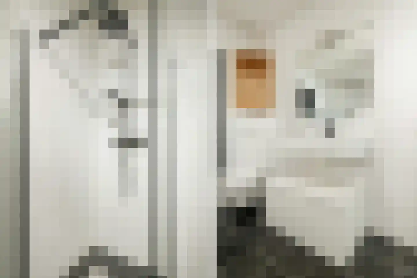 Het Bolwerk 4 Breda thumbnail 29