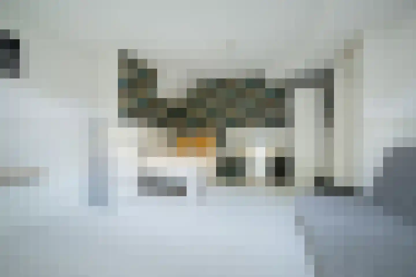 Het Bolwerk 4 Breda thumbnail 9