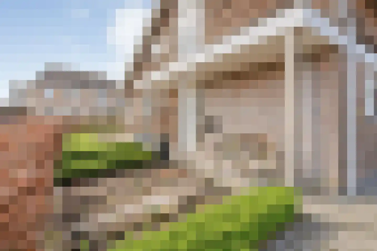 Het Bolwerk 43 Steenwijk thumbnail 13